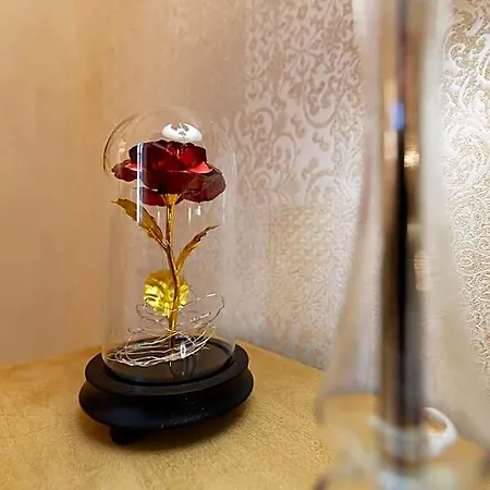 Hotel Palazzo Badiale History&rooms
